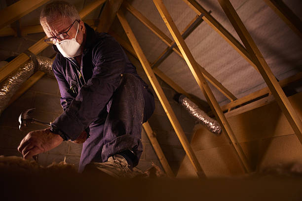 Best Specialty Insulation in Jenkins, KY